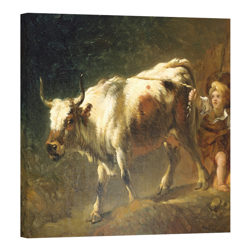 Момче, опитващо се да задържи крава с въже